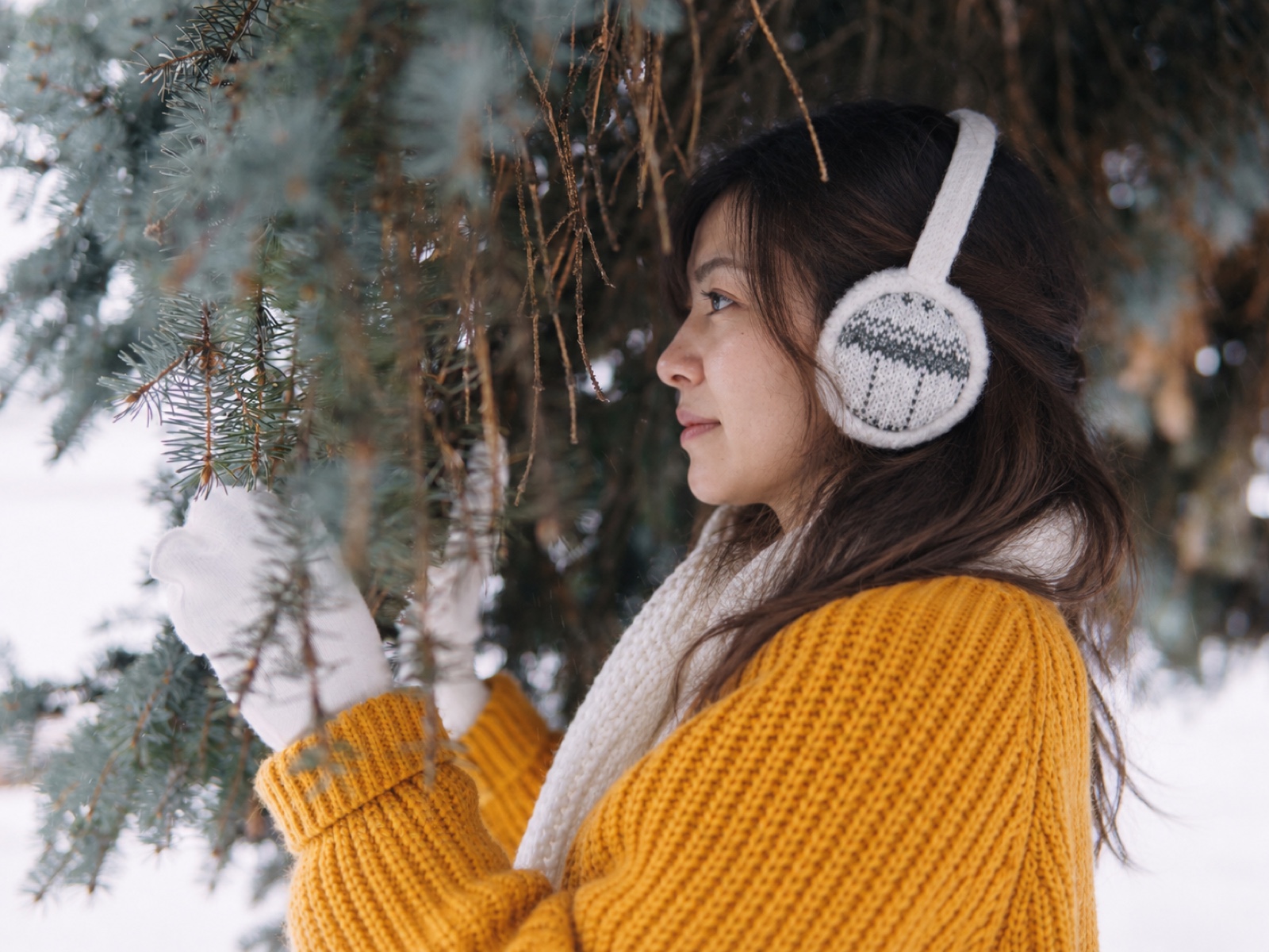 穿黃毛衣的旅人在雪中樹旁安靜望向遠方